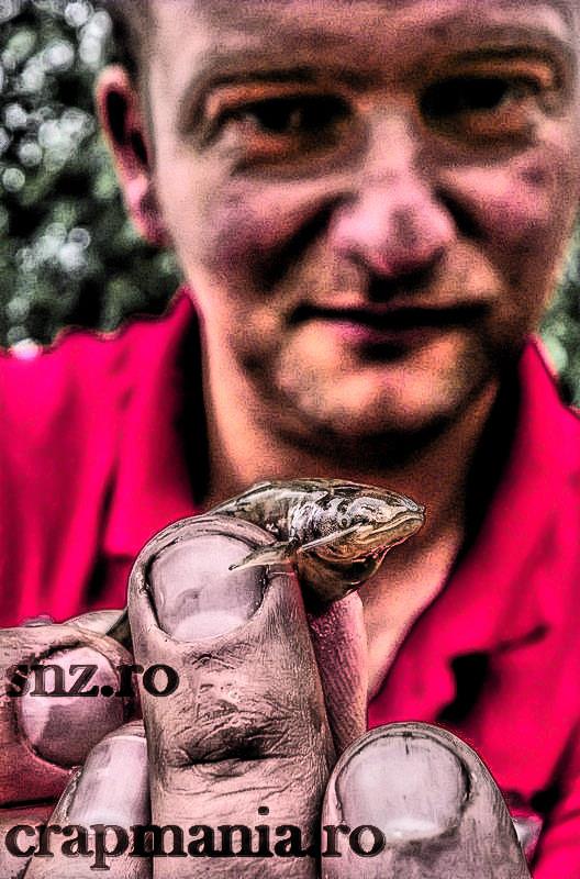 Senior Trophy (2) - 2013 - 1012504hdrmode2.jpg